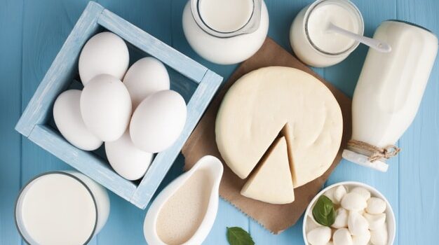 flat-lay-variety-fresh-dairy-products_23-2148239924